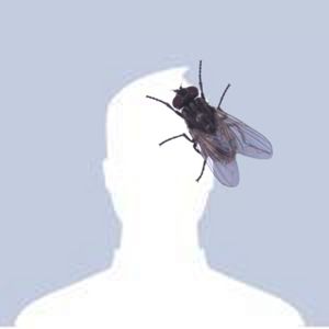 Meet your Posher, Warren